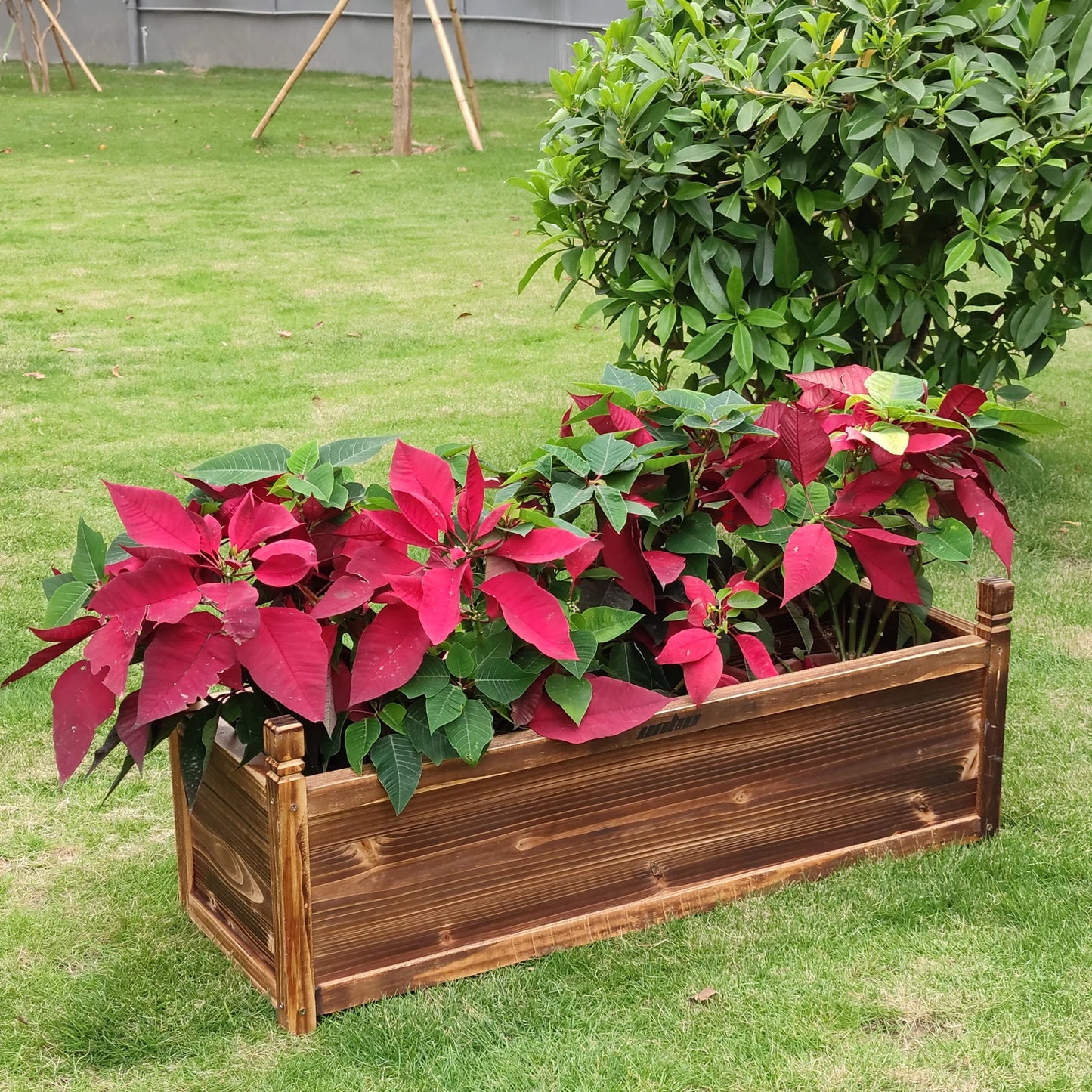 Raised Garden Bed Window Mounted Wood Planter Box For Planting