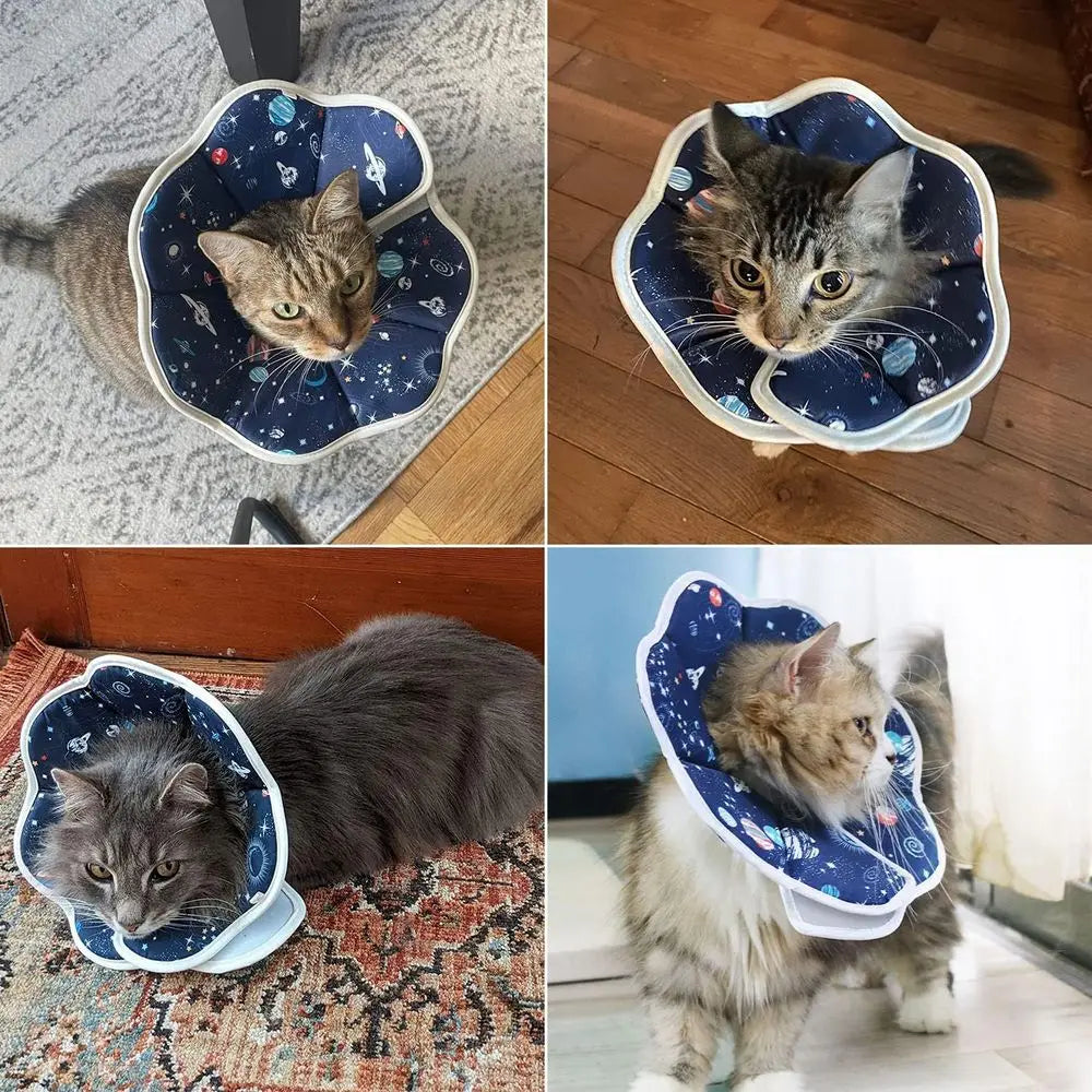 Adjustable Cat Recovery Collar After Surgery Protective Elizabethan Cone