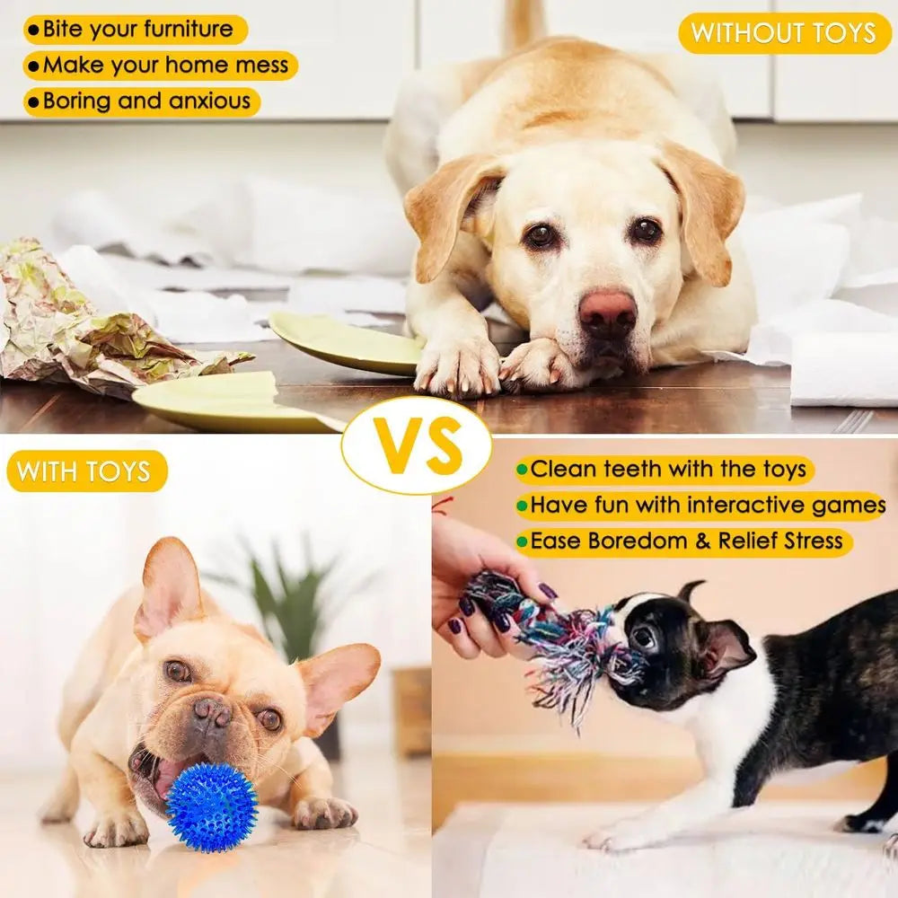 25 Pack Dog Toys For Small Dogs And Puppies Durable