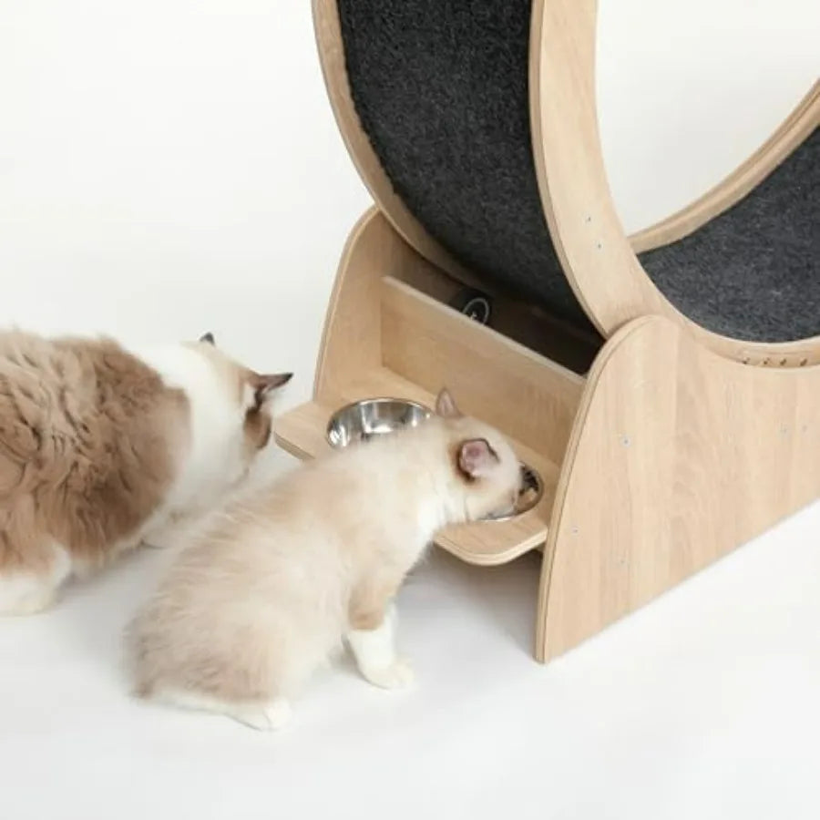 Cat Exercise Wheel Treadmill For Indoor Cats Home Use