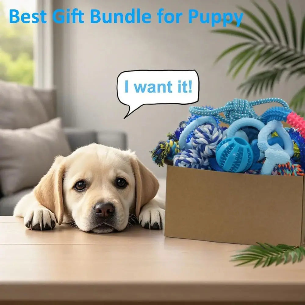 20 Pack Puppy Chew Toys Bundle For Teething Small Dogs