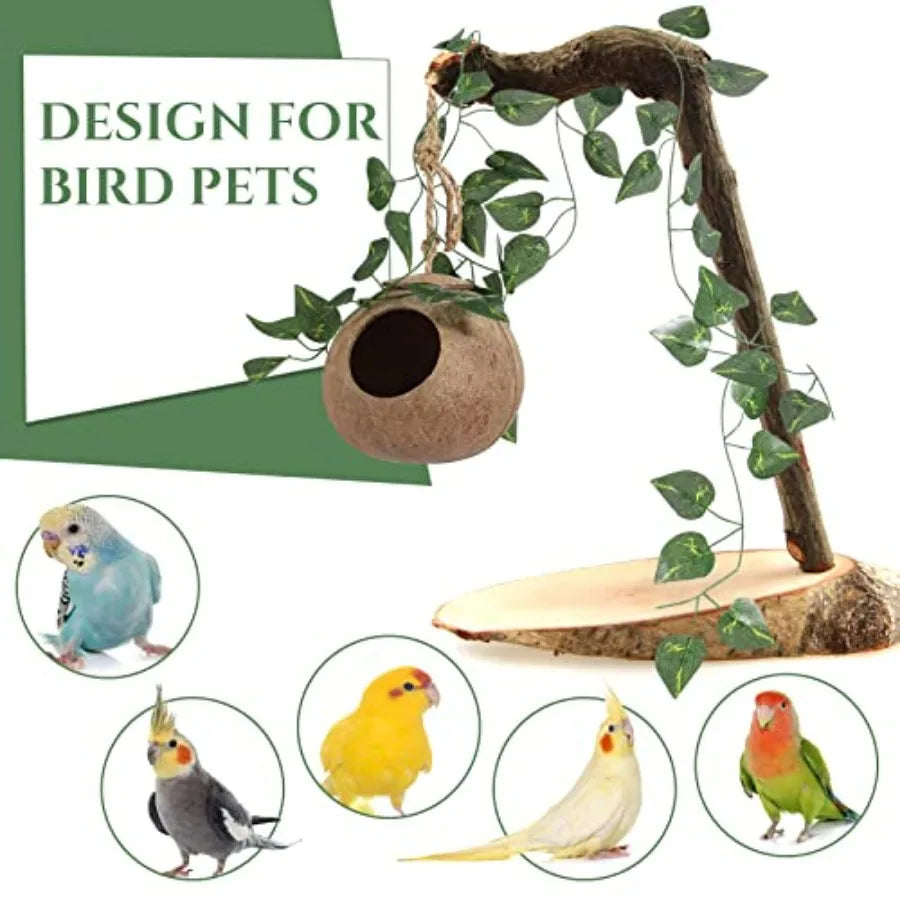 Coconut Bird Nest Hut Hanging Bird House 3 Pack Vines