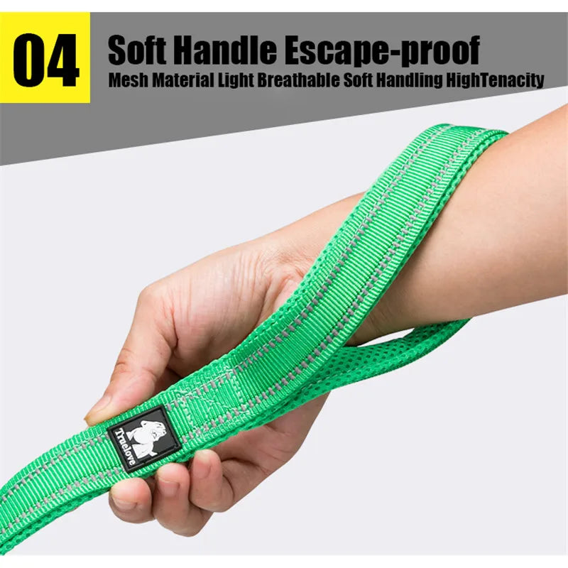 TRUELOVE Reflective Nylon Mesh Padded Dog Leash For Walking