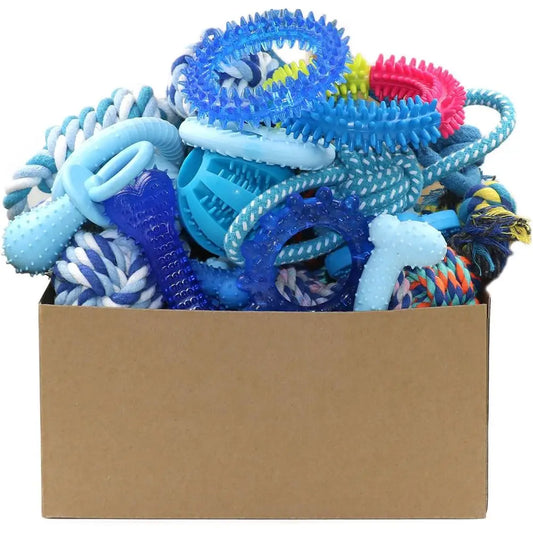 20 Pack Puppy Chew Toys Bundle For Teething Small Dogs