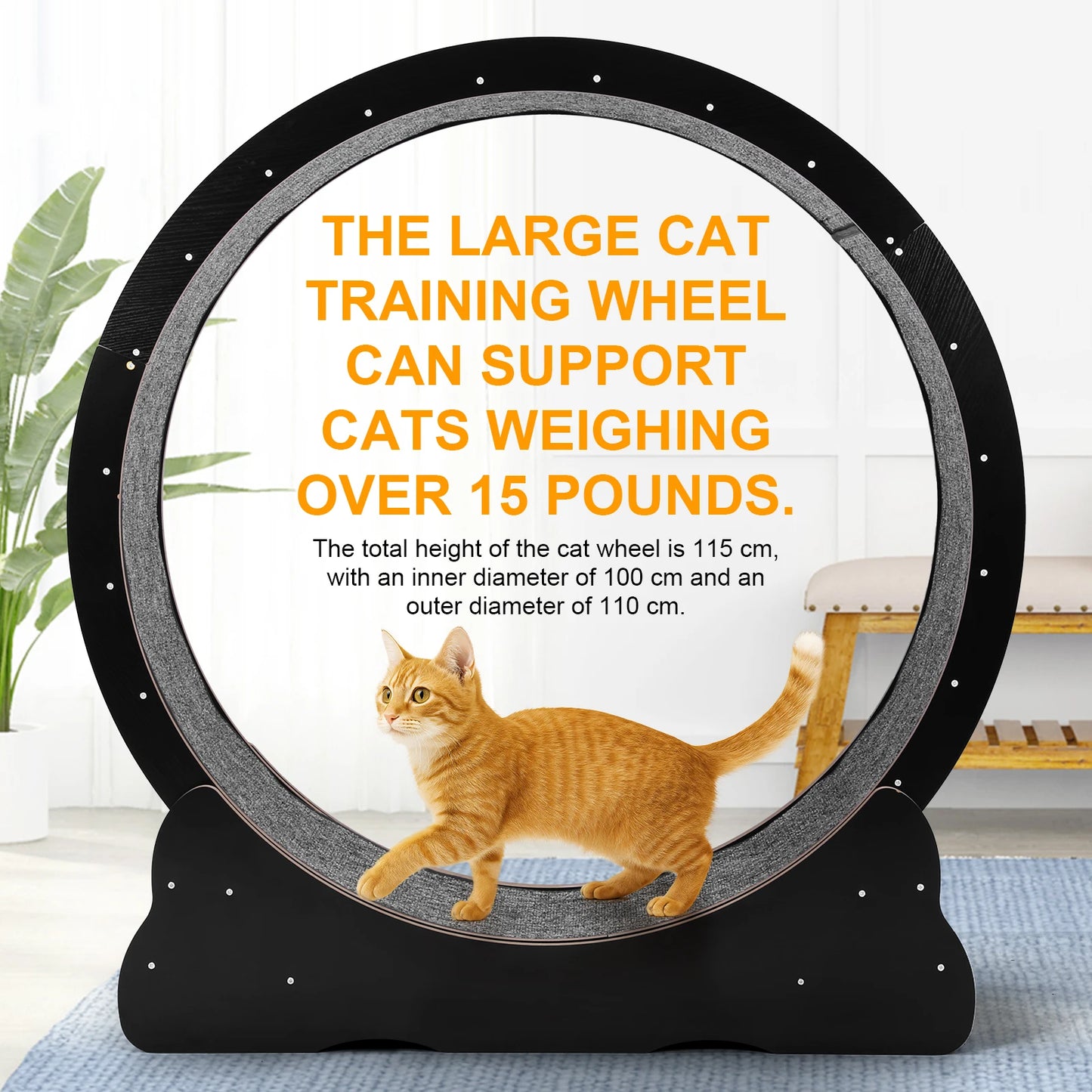 Indoor Cat Exercise Wheel Treadmill For Fun And Fitness