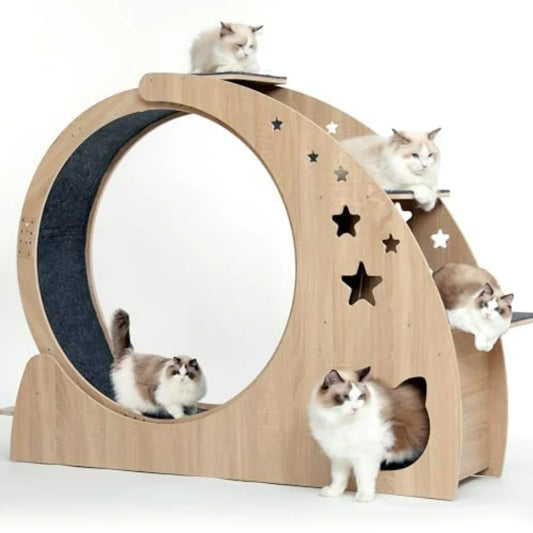 Cat Exercise Wheel Treadmill For Indoor Cats Home Use