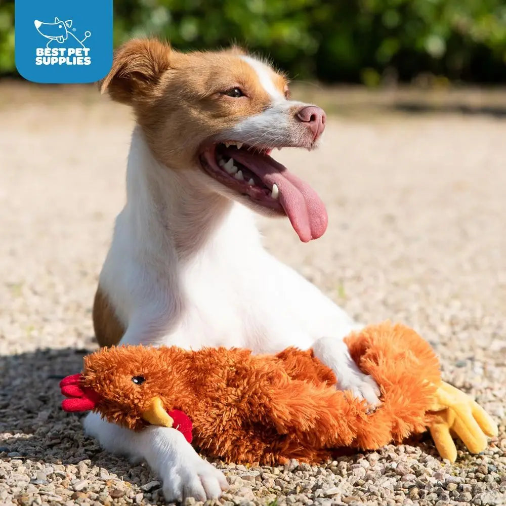 Interactive Crinkle Chicken Dog Chew Toy for All Dogs